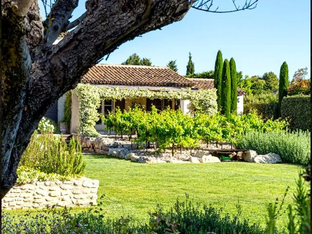 Pergola métallique - ambiance jardin provençal - La Métallerie Du Sud
