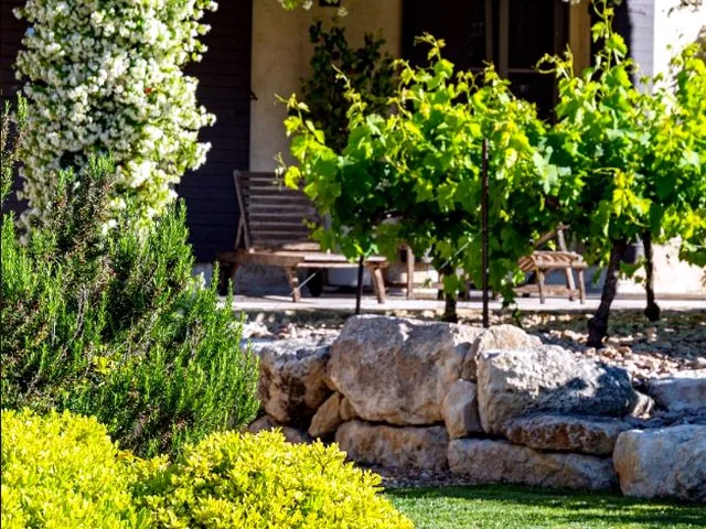 Pergola métallique - intégration jardin provençal - La Métallerie Du Sud